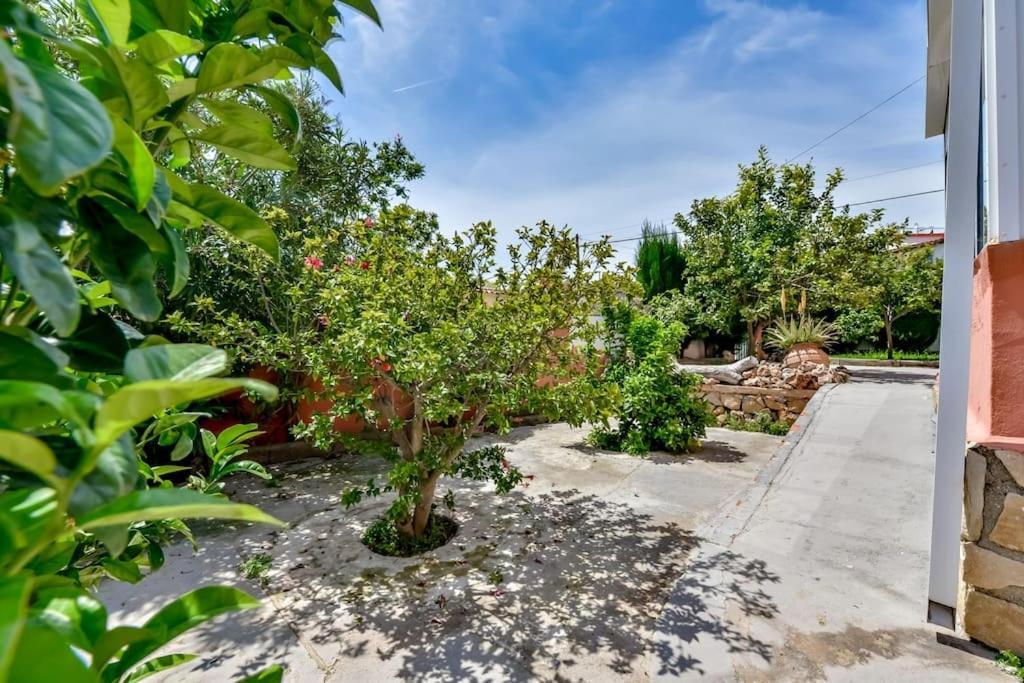 Villas Guzman - Mouna Calp Dış mekan fotoğraf